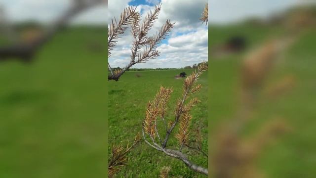 Неудачное падение на KTM 250 SX F смотреть онлайн