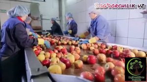 Технология производство сока. / Sok ishlab chiqarish texnologiyasi.