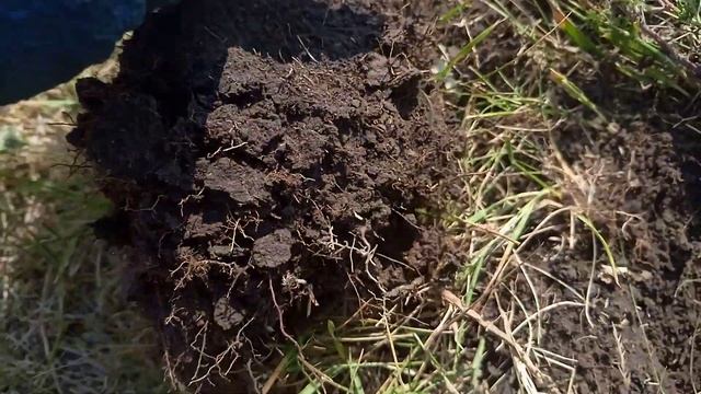 Коп на битом ауле с Фишером Ф75 и Деусом смотреть онлайн