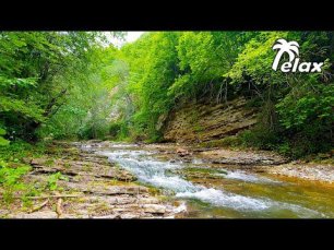 Relaxing Water Sounds - Nature River Sounds And Forest Bird Singing Sound Ambience