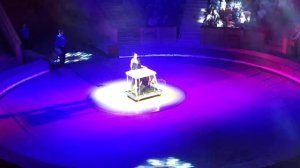 Лучшие цирковые номера сезона | Иллюзия под руководством Ингвара | Гомельский цирк | Гомель 2020