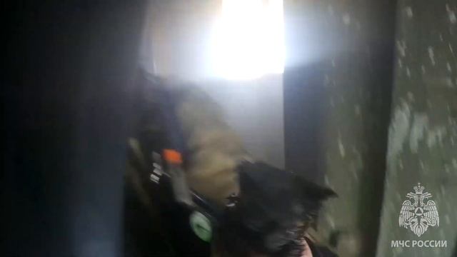 10-02-2023_Зауральские огнеборцы вернули к жизни котенка смотреть онлайн