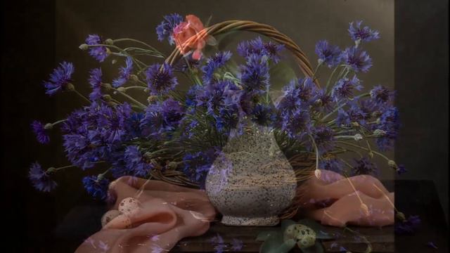 "МЕНУЭТ"... (Фото - Olga Cherepanova, музыка - Momentos) смотреть онлайн