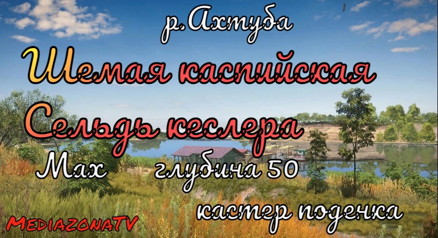 #рр4 р.Ахтуба Шемая Каспийская  Сельдь Кеслера.1.08