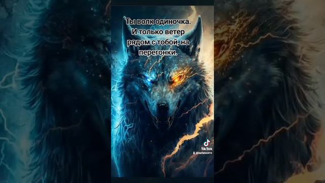 Свобода