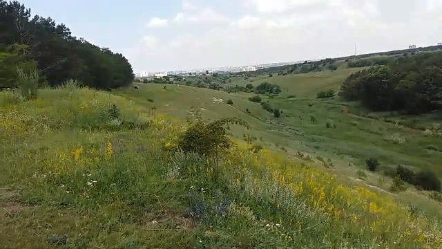 КРЫМ...КАК ТАМ? смотреть онлайн