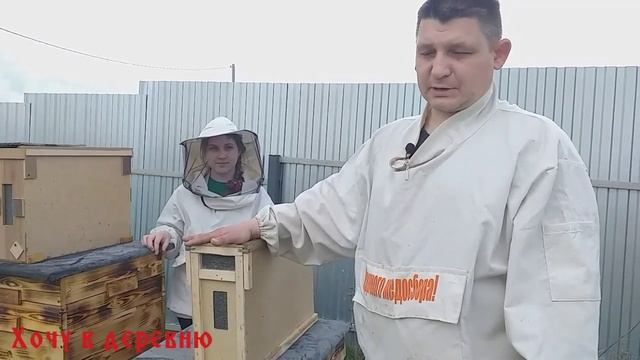 Пополнение пчелиного семейства. Облёт пчел смотреть онлайн
