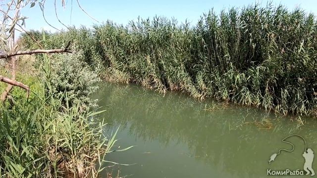 Рыбалка в Крыму. р. Бельбек 2018 год. Крымский голавль