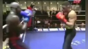 Французский ?? бокс.