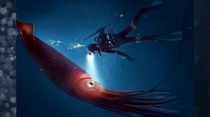 ✅ Загадки океана