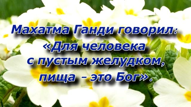 ЦИТАТЫ И АФОРИЗМЫ ШРИ ЧИНМОЯ