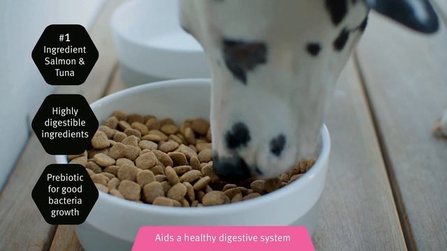 Good bye Sensitive Skin & Stomach смотреть онлайн