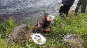 Ловля горбуши на Умбе,начало июля 2021.