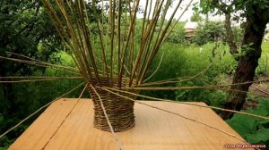 Свежесрезанные летние прутья ивы можно сплести в ВОРОНКУ ИЗОБИЛИЯ