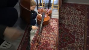 Thomastik Spirocore med. vs. Pirastro Perpetual