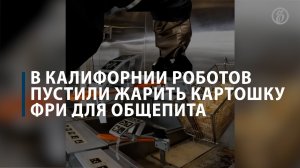 В Калифорнии роботов пустили жарить картошку фри для общепита