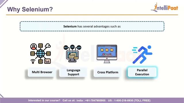 How to Become Selenium Developer | What is Selenium | Selenium Webdriver Basics |Intellipaat