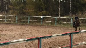 Лиза скачет верхом на лошади / Оля тоже не отстает