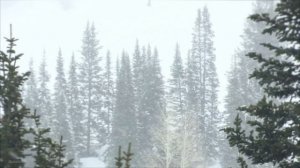 10 Hours of Winter Snow Storm Sounds | High-Quality Winter Snow and Wind Sounds