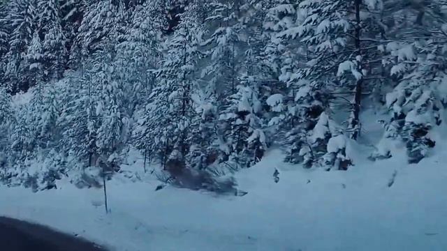 Дорога без конца минусовка avi1 смотреть онлайн