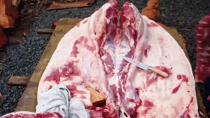 Cooking and Cutting Pork in Traditional Style- Village Life in Carpathian Mountains