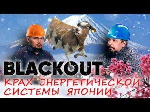 Борис Марцинкевич про крах энергетической системы Японии и грядущий Blackout