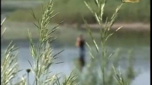 Клёвое место  Река Угра  Калужская область