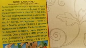 Томат Бананчик. Жёлтый томат. Классная дача.