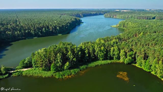 La Música Relaja El Sistema Nervioso, Mejora La Memoria 🌿 La Música Suave Calma El Sistema Nervioso смотреть онлайн