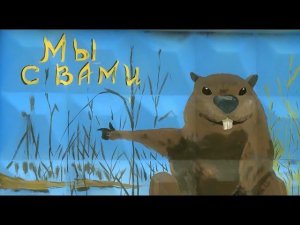 Документальный фильм "Бобры в городе"