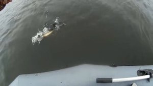 11.03.2018. Рыбалка  на  Десногорском водохранилище