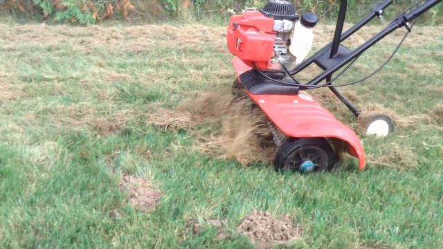 скарификация смотреть онлайн