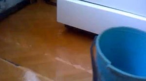 Потоп дома!