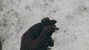 Быстрое сравнение старой и новой комплектных камер Teyes