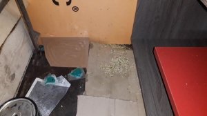 Клей ловушка от мышей и крыс в гараж вместо мышеловки