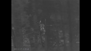 Изображение в тепловизионном прицеле Sytong RM03-50LRF