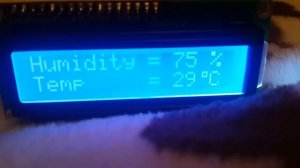 Температура и влажность на дисплее (Arduino uno)
