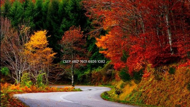 ВСЁ ЭТО ОСЕНЬ ДЭМО 18 11 23 - МИХ ЧАР ГОНЧАРЪ смотреть онлайн