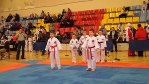 Чемпионат и Первенство г.Ижевска по тхэквондо ВТФ и ГТФ. Хьенги финал Рома 1 место.