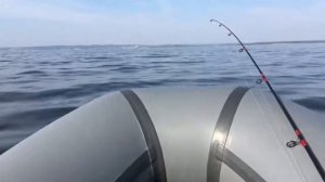 Флагман 300+Tohatsu 5