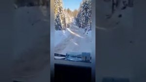 лесовозы.звучит песня в исполнении Макс Вертиго.Верниковский Феликс.