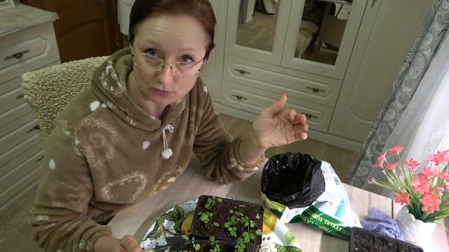 Земляника Барон Солемахер и макароны жареные с базиликом. strawberry Baron Solemacher смотреть онлайн