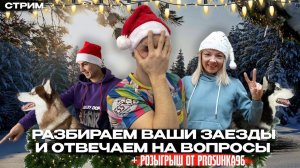 СТРИМ! Разбираем ваши заезды с собаками и отвечаем на вопросы