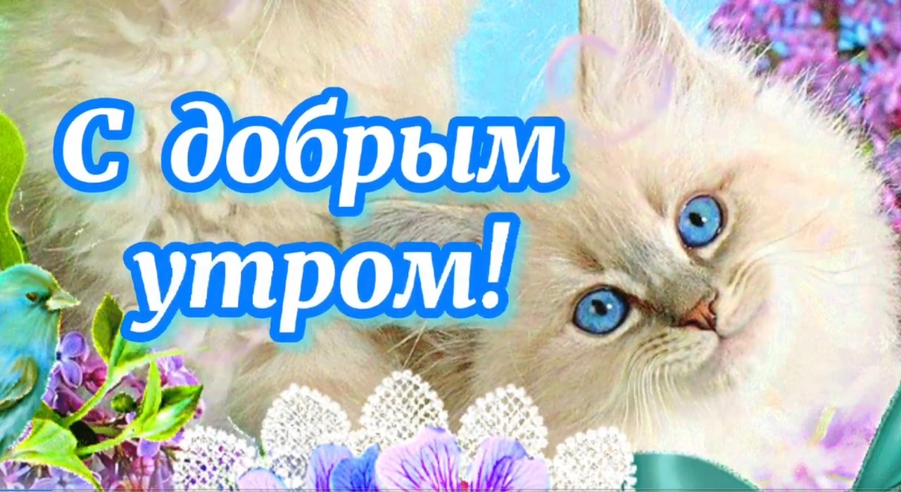 Исполнено добра
