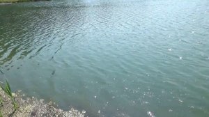 Поехали на рыбалку.Чеховский район подмосковье д.Глуховка