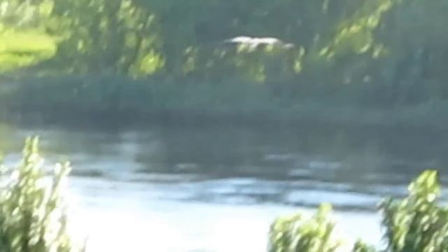 Беларусь. Аисты. смотреть онлайн