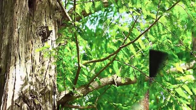 МЕЖДУНАРОДНЫЙ  ДЕНЬ ЗЕМЛИ 22 АПРЕЛЯ