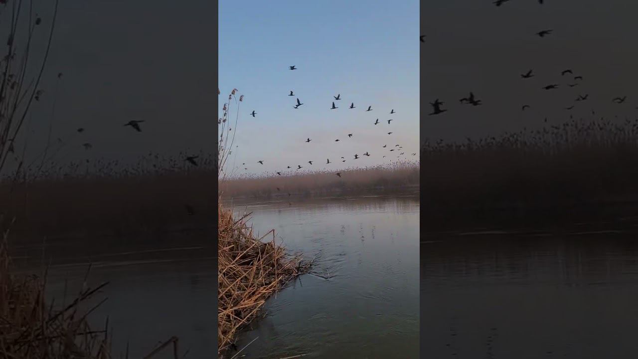 22 апреля 2024 г. смотреть онлайн