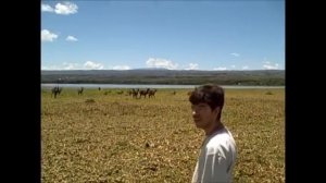 kenya: Jambo Bwana (Hakuna Matata)