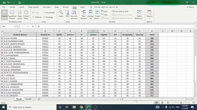 Freeze columns and rows in Excel | Sinhala